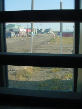 The Cell view of Kotzebue