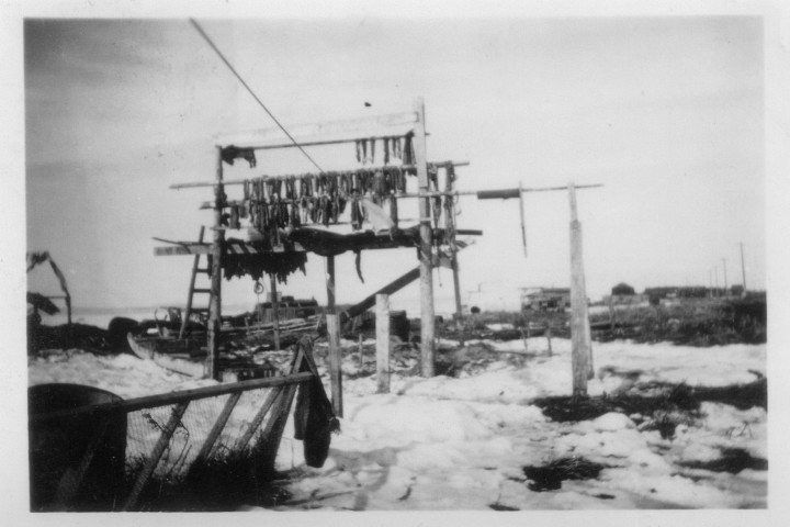 Kotzebue 1947 